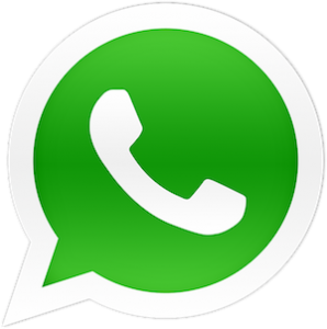 wpid-WhatsApp_logo1
