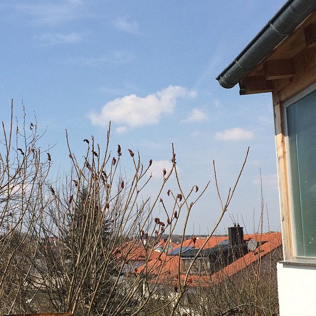 Mittagspause im Freien. Klasse!