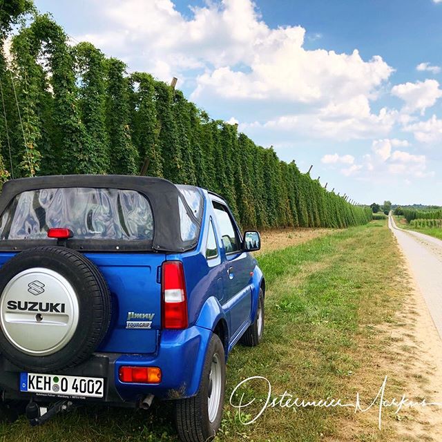 Jimny im Hopfengarten
